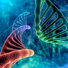 Discover technologies to improve immunotherapeutic response rates